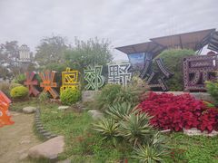 -上海长兴岛郊野公园