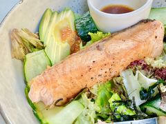 -Wagas沃歌斯(大学路店)