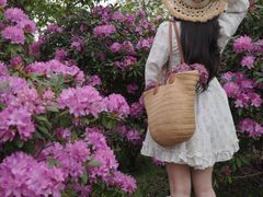 -名花谷生态庄园