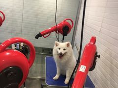 -PETKIT小佩宠物(古北店)