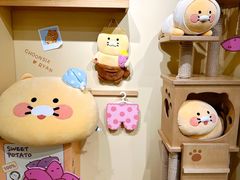 -KAKAO FRIENDS(弘大店)