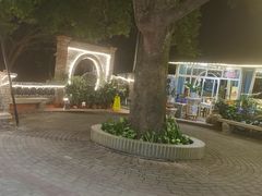 -桃姐农庄老字号(增城分店)