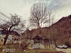 -抱龙峪