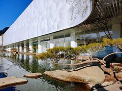 -罗红摄影艺术馆