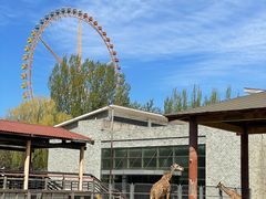 -石家庄市动物园