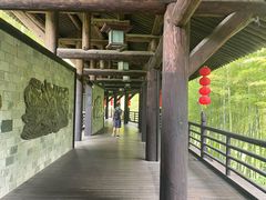 -大唐贡茶院