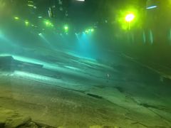 -白鹤梁水下博物馆