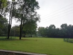 -洛阳市隋唐城遗址植物园