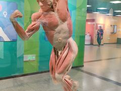 -国家自然博物馆