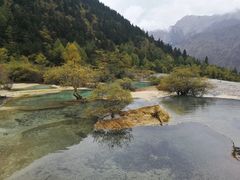 -黄龙山原始森林景区
