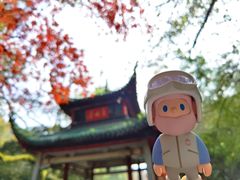 -岳麓山风景名胜区