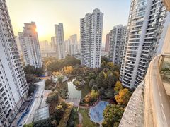 -新湖明珠城