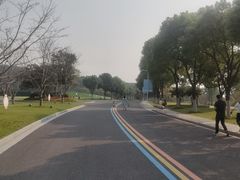 -羊山湖公园