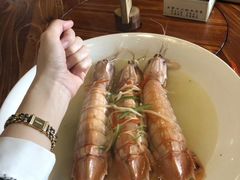 -顺德了能馆(虎门店)