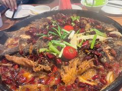 -老板恋上鱼(恒隆广场店)