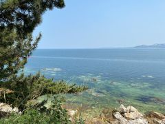 -养马岛旅游度假区