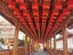 -上海东林寺(金山区)