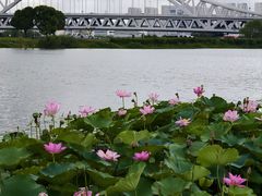 -澹台湖公园
