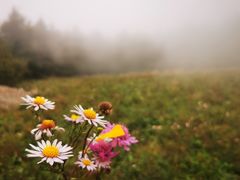 -白草畔自然风景区