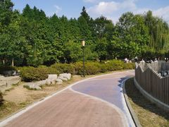 -羊亭河湿地公园