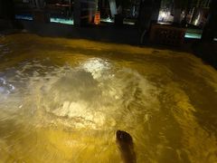 -春晖园度假酒店温泉