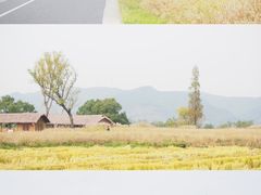 -良渚古城遗址公园