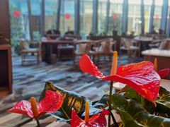 -上海国展宝龙丽筠酒店