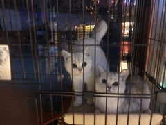 -木沐影咖(鑫乐汇购物广场店)