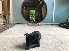 -乐领拈花溪·林涧食韵