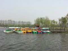 -上海长兴岛郊野公园