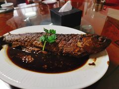 铁锅鱼-青英餐厅