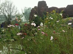 -武清南湖绿博园