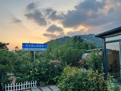-蘇河湾·新鲁菜·泰山宴(泰山店)