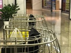 -昆仑和悦酒店(青岛奥帆中心五四广场店)