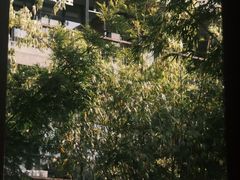 -扫雪煮茶(西村店)