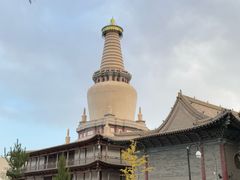 -张掖大佛寺景区