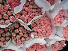 -循礼门鲜花花市(武汉循礼门店)