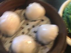 -添运来(茶园奥园广场店)