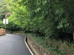 -杭州半山国家森林公园