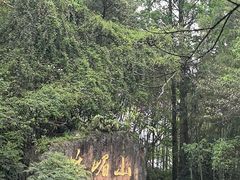 -峨眉山报国寺