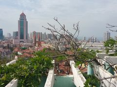 景点-观象山公园