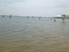 -碧海金沙