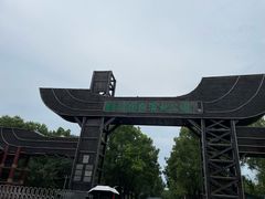 -溱湖国家湿地公园