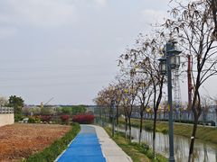 -长洲岛