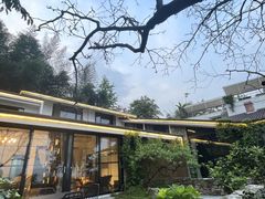 -缙云山景区