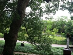 iphone_upload_pic-普陀山雷迪森庄园