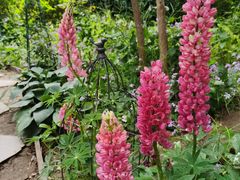 -首开·常青藤二期