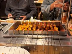 -邢氏老太太烤串(北兴街店)