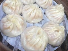 -莱莱小笼·乔艾