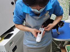 -瑞鹏宠物医院·微创内窥镜·骨外科·牙科(翠竹分院)